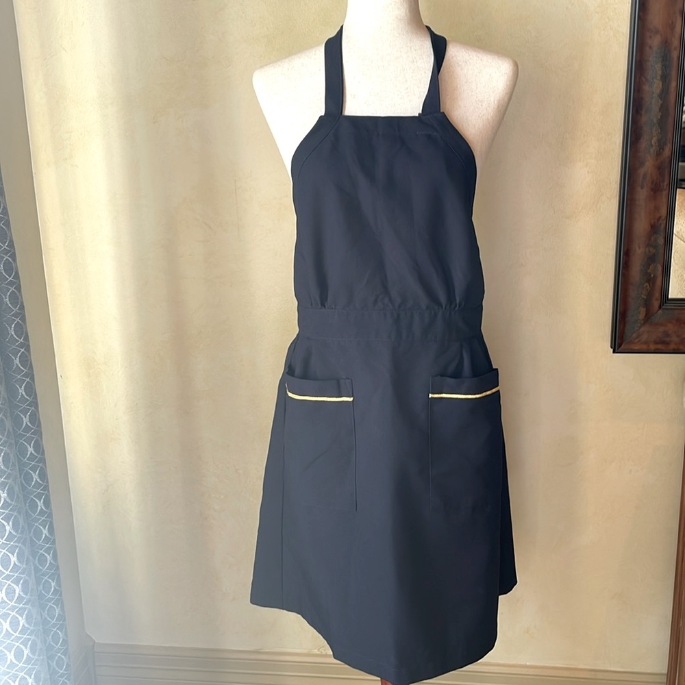 Vintage Continental Airlines Apron